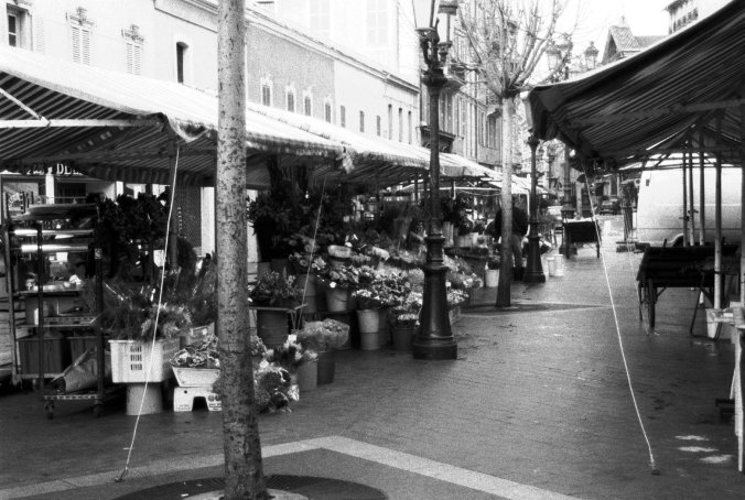 Quelques etals de fleuristes sur le cours Saleya, celebre pour son marche, Nice, France