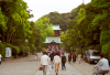 A view of the gate and the temple over it, in a big temple place, near Kamakura station, I don't remember the name...