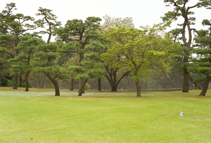 A small part of the garden around the Imperial Palace in Tokyo