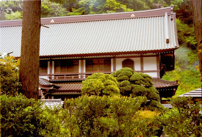 The roof of a temple in Kamakura, I don't remember the name...