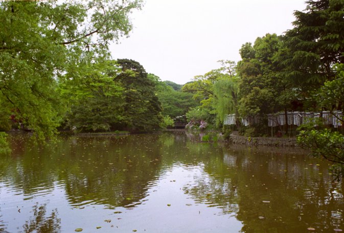 The lake around a small shrine, in a big temple place, near Kamakura station, I don't remember the name...