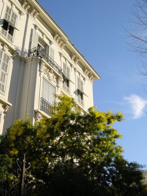 A small building directly on the boulevard, with mimosa in front.