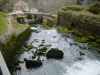 Apres la source, vue de l'aval et des ruines avant la premiere usine hydroelectrique. Doubs, France
