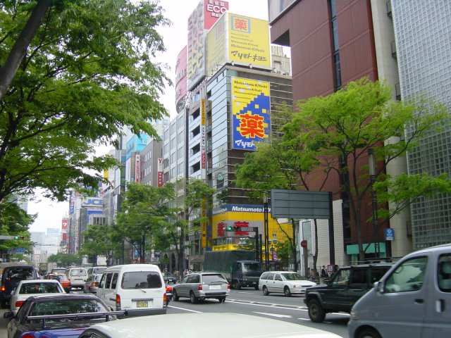 Rue de Ginza. Tokyo, Japon.