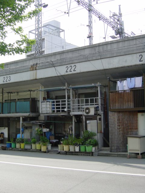 Un appartement sous les rails du train de Kobe. Les plantes respirent un peu dehors, un peu eloignees des vibrations des trains. Kobe, Japon.