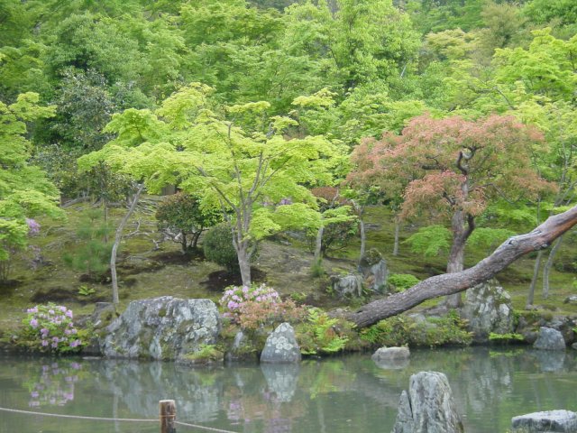 Etang du jardin du Temple de Tenryu-Ji. Kyoto, Japon.