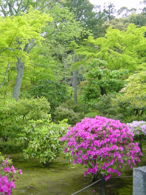 Jardin du temple de Tenryu-Ji, Kyoto, Japon.