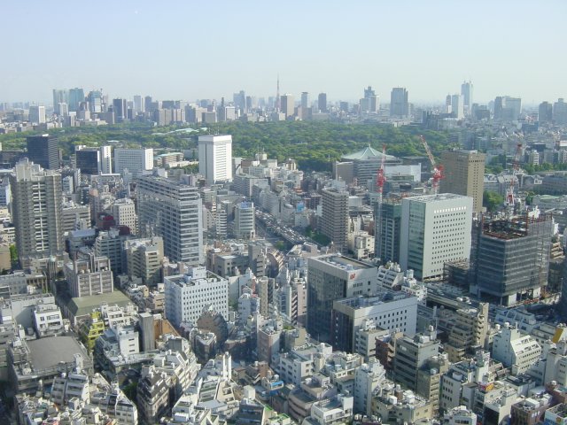 Immeubles et Jardins du Palais Imperial. Pris du 45eme etage d'un immeuble, pres du Tokyo Dome. Tokyo, Japon.