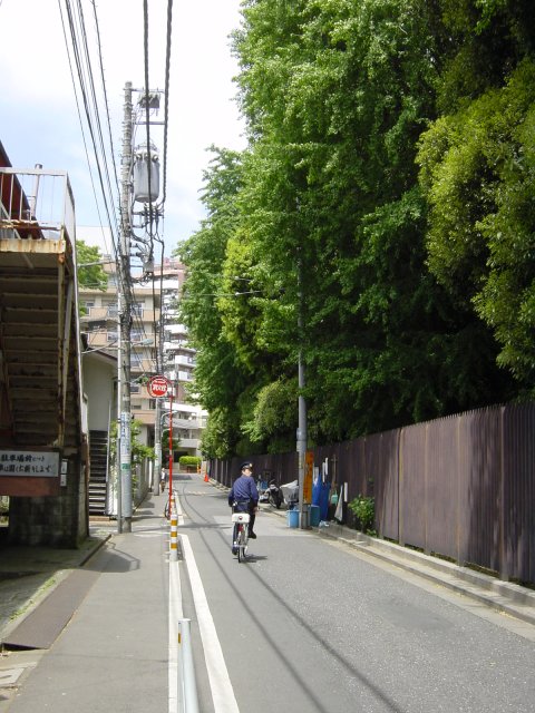 Le long de Shinjuku-koen, mais que font-ils ici? doit il penser. Tokyo, Japon.