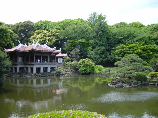 Lac dans le parc de Shinjuku. Tokyo, Japon.