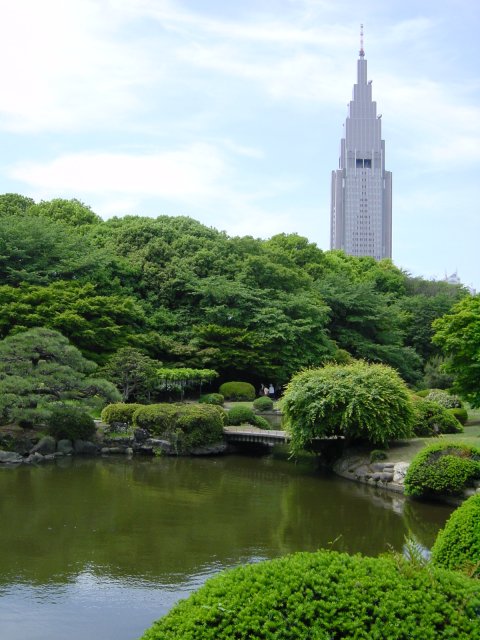 Nature et immeuble. Parc de Shinjuku, Tokyo, Japon.