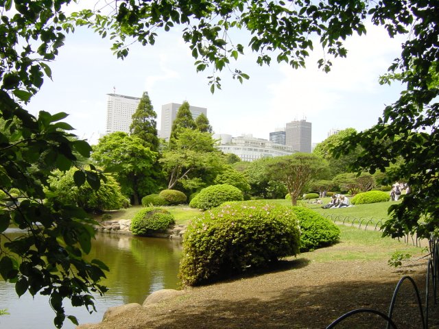 Jardins ordonnes, immeubles modernes. Parc de Shinjuku, Tokyo, Japon.