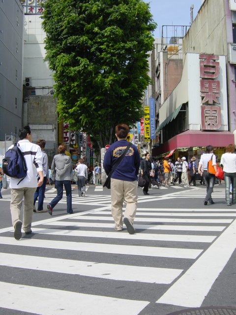 Croisement, Shinjuku, Tokyo, Japon.