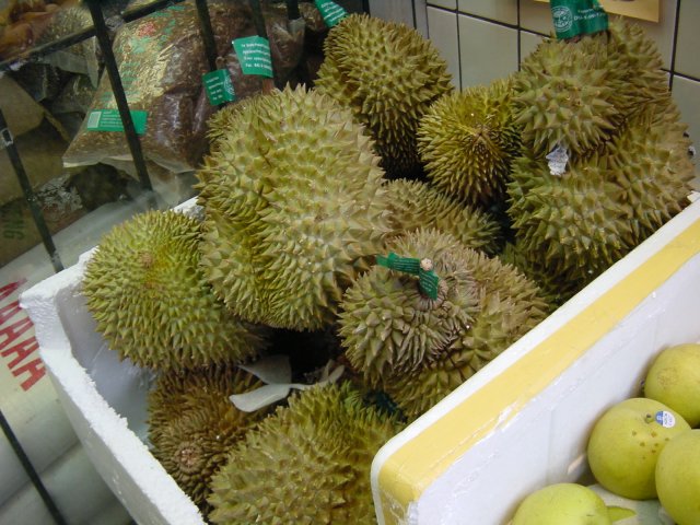 Durians, pres de la gauchetiere. Montreal, Quebec, Canada.