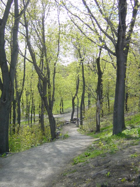 Parc du Mont Royal. Montreal, Quebec, Canada.