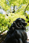 Sorte de gargouille, Ikuta Jinja, Kobe, Japon.