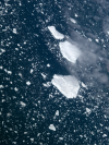 Icebergs de toutes tailles dans la mer froide bordant le Groenland.
